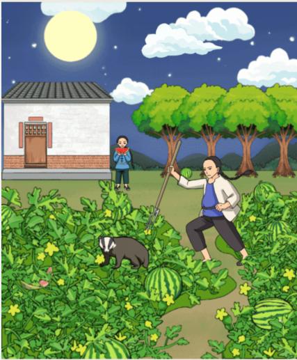 就我眼神好找西瓜通关秘籍