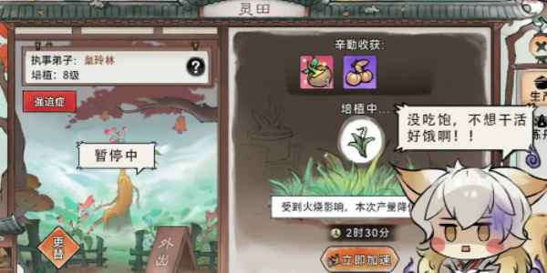 《最强祖师》弟子获取攻略：性价比玩法与等级选择指南