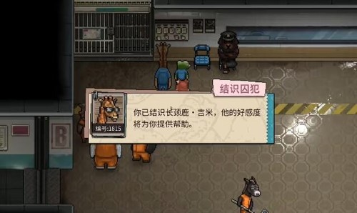 动物迷城联机问题全解析