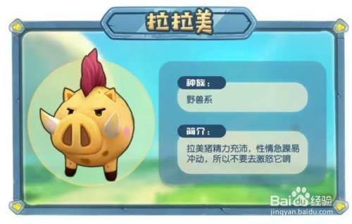摩尔庄园手游全精灵分布位置全攻略
