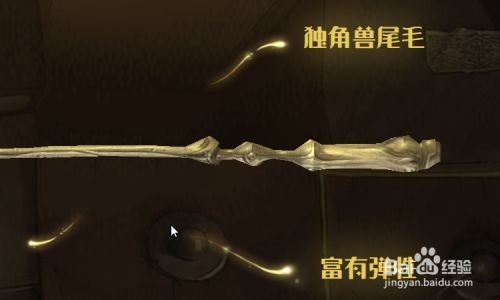 哈利波特手游角色创建与定制指南：当前功能、预约攻略及未来展望