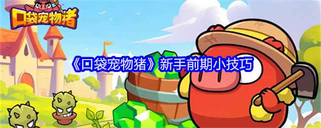 口袋宠物猪新手指南：那些容易被忽略的前期小细节