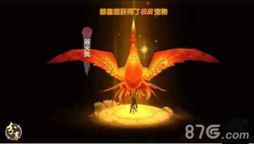 寻仙手游骑宠进化全攻略