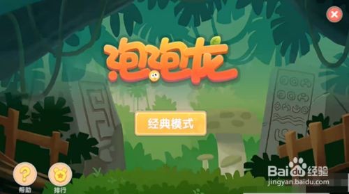 摩尔庄园龟壳包的装饰与个性魅力