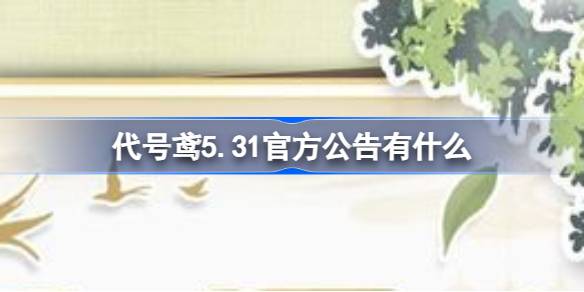 代号鸢5.31官方公告深度解读：周边政策调整与游戏优化内容全解析