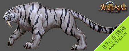 光明大陆坐骑怎么选