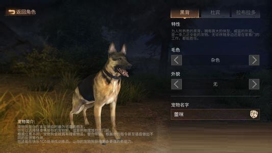 明日之后新手进阶攻略：资源积累与经验提升