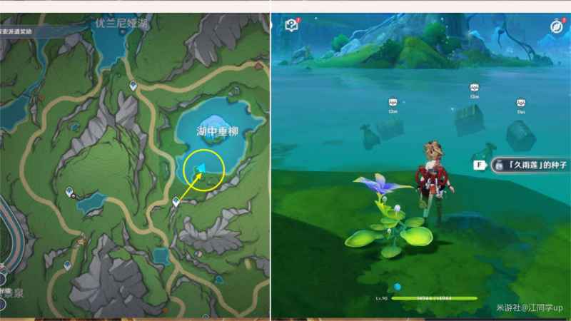 原神无影的塞谟奈成就攻略：任务后岸边水底宝箱与魔拉盒全收指南