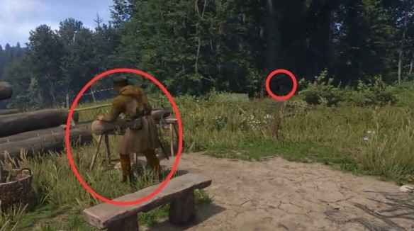 天国拯救2爱自由与荣耀任务全流程详解:从接受任务到最终胜利