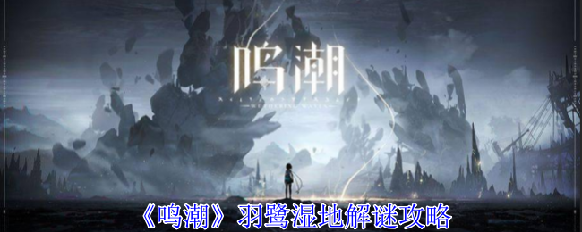 《鸣潮》羽鹭湿地解谜攻略：跟着走就对了