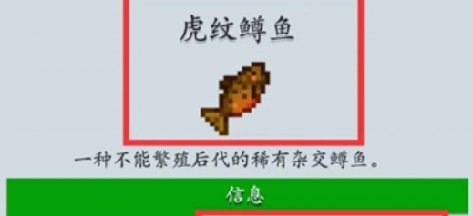 星露谷物语虎纹鳟鱼怎么钓：地点、技巧与经验全解析