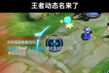 揭秘王者荣耀火柴人昵称代码的真与假