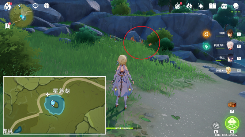 原神风车菊采集全攻略：最佳路线与分布图解析