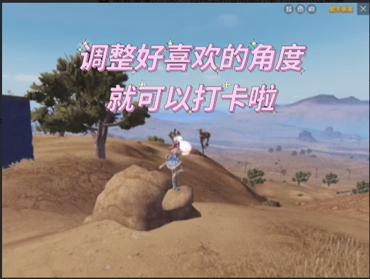 和平精英小乌龟打卡点全攻略：位置、玩法与魅力解析