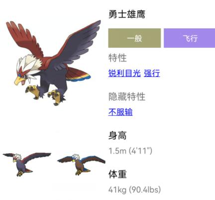 宝可梦朱紫：勇士雄鹰配招策略与实战心得