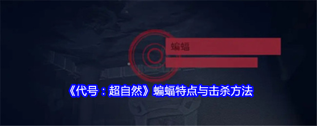 代号超自然游戏蝙蝠的生死较量