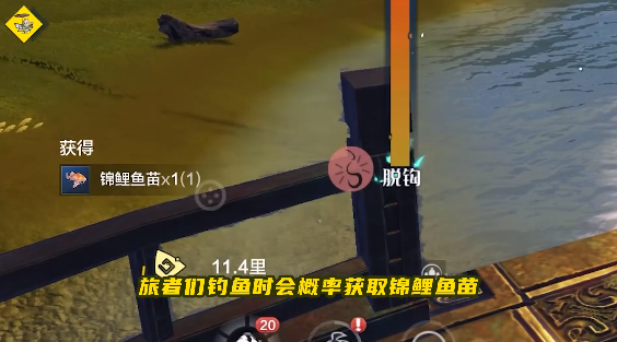 妄想山海锦鲤坐骑的获取方式