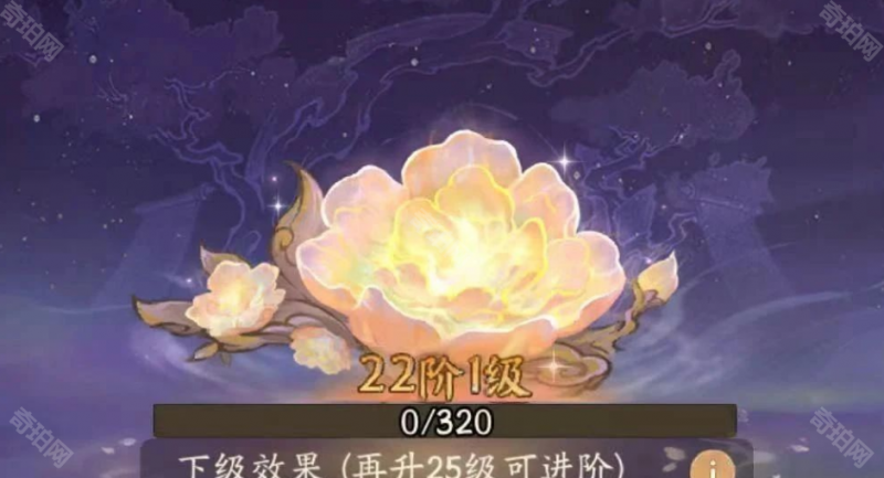 寻道大千瑶池仙踪1~22阶赐福升级琼浆需求与攻略
