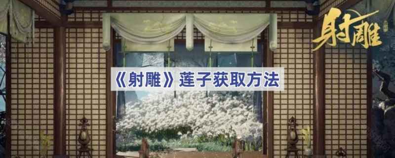 射雕手游莲子怎么获得