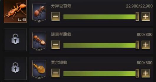 培养小小蚁国兵蚁的详细方法与技巧