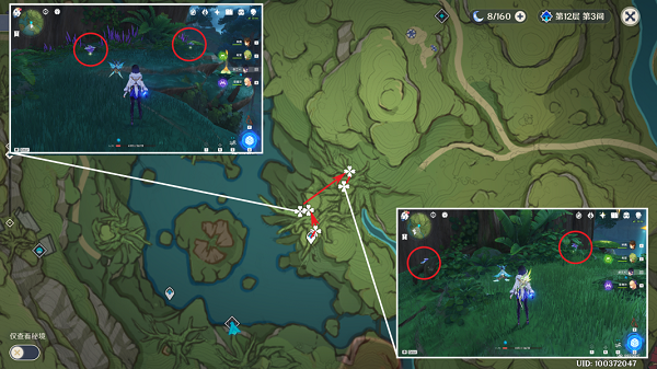 原神树王圣体菇怎么找:位置与采集路线全解析