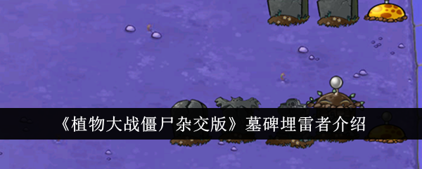 墓碑埋雷者深度解析：兼具产阳与炸僵尸双重功能，黑夜作战利器