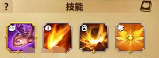 万龙觉醒维德尔宠物搭配心得