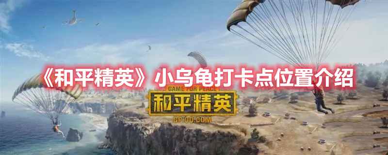 和平精英小乌龟打卡点全攻略：位置、玩法与魅力解析