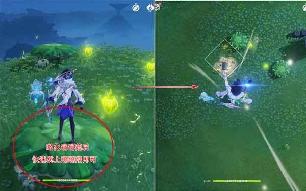 原神4.6须弥新宝箱全攻略