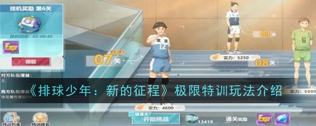 排球少年手游极限特训玩法全解析