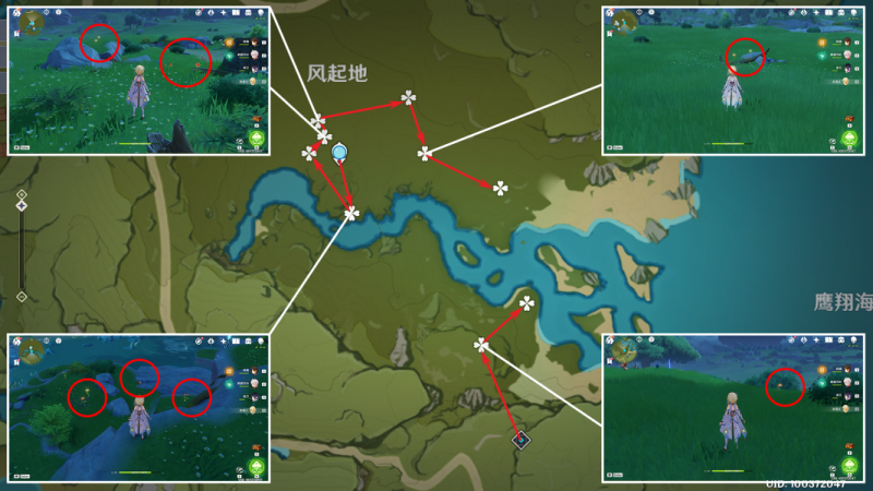 原神风车菊采集全攻略：最佳路线与分布图解析