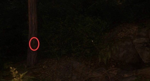 天国拯救2爱自由与荣耀任务全流程详解:从接受任务到最终胜利