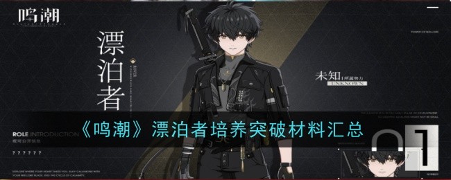 《鸣潮》漂泊者突破材料详解：等级与技能突破所需材料汇总