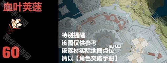 《鸣潮》2.4版本露帕突破材料全解析