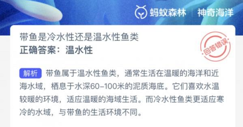 带鱼的冷热属性之谜：揭秘温水性鱼类的生存之道