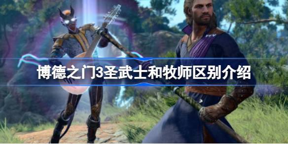 圣武士与牧师：力量来源与职业定位的终极区别