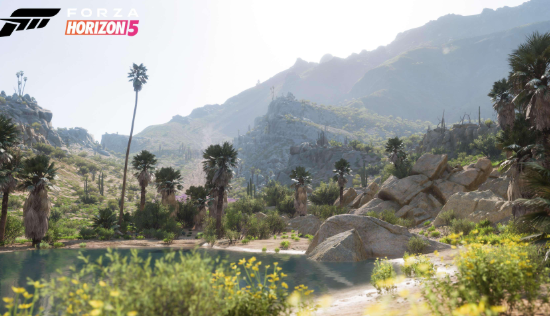 地平线5：真·王炸车型大揭秘