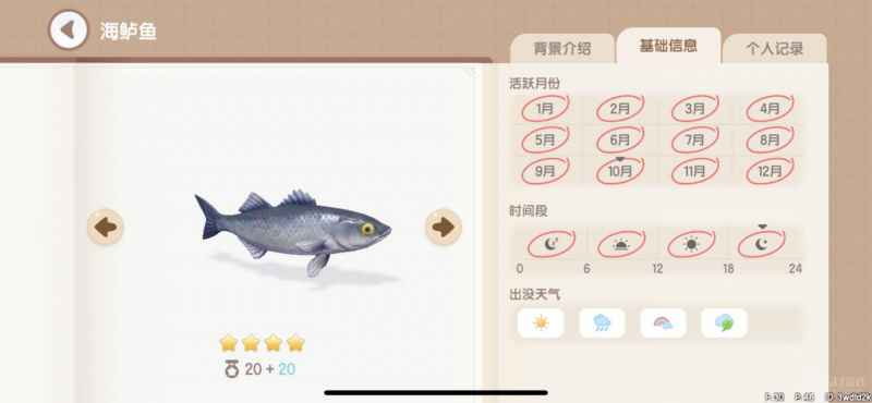 心动小镇海鱼钓点全攻略