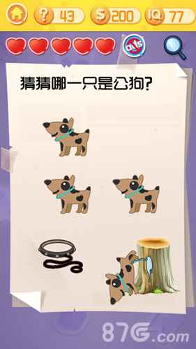 囧囧挑战3第四十三关通关攻略：如何找出四只狗狗中的公狗