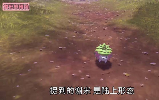 宝可梦传奇阿尔宙斯谢米天空形态进化攻略：时机与道具关键