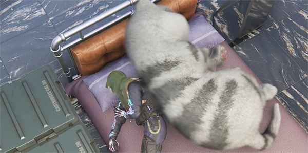 七日世界如何捕捉异维大猫：详细获取指南