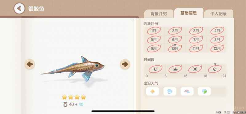 心动小镇海鱼钓点全攻略
