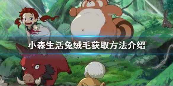小森生活兔绒毛的获取之道