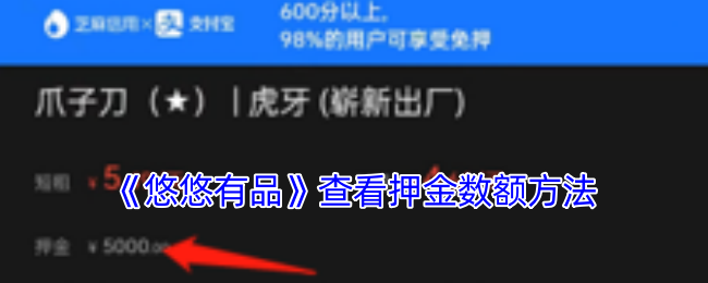 悠悠有品押金查询指南：轻松查看押金数额
