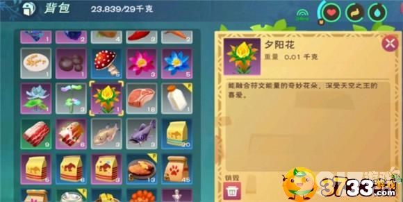 创造与魔法夕阳花怎么找