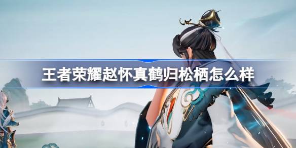 七夕限定！赵怀真鹤归松栖皮肤深度评测：古风韵味与细节满满