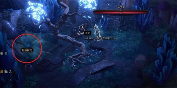 博德之门3神秘高塔的探索与秘密