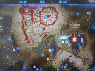 塞尔达传说王国之泪生命松露位置与用途全攻略