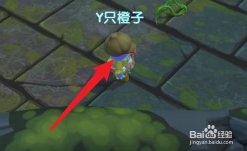 摩尔庄园精灵召唤全攻略：火精灵与木精灵获取指南