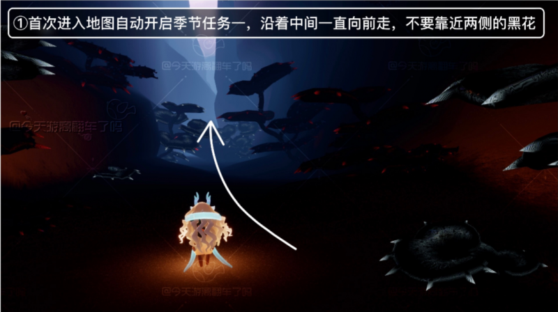 光遇九色鹿季全攻略：任务流程详解与注意事项